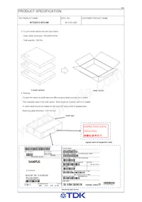 WT252512-8F2-SM數據表 頁面 9