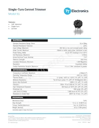 91XR10KLF Datasheet Copertura