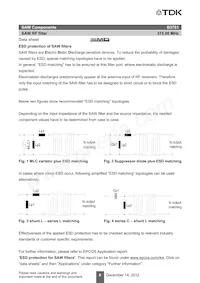 B39321B3761Z810 Datasheet Pagina 8