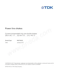 B82720A2301N042 Datasheet Cover