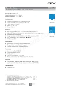 B82720A2301N042 Datenblatt Seite 2