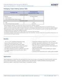 CA052X222K1GAC7800 Datasheet Pagina 2