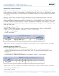 CA052X222K1GAC7800 Datasheet Pagina 3