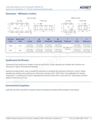 CA052X222K1GAC7800 Datasheet Pagina 4