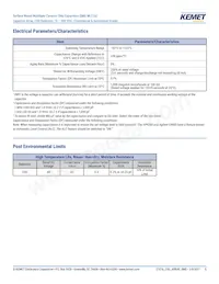 CA052X222K1GAC7800 Datasheet Pagina 5