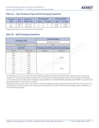 CA052X222K1GAC7800 Datasheet Pagina 7