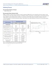 CA052X222K1GAC7800 Datasheet Pagina 9