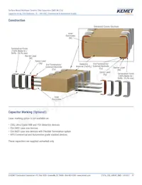 CA052X222K1GAC7800 Datasheet Pagina 11