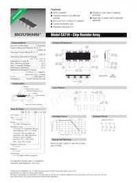 CAT10-334J4LF Datasheet Cover