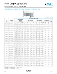 CB187G0105KBC Datasheet Page 3