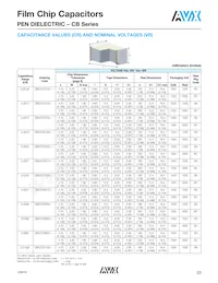 CB187G0105KBC Datasheet Page 4