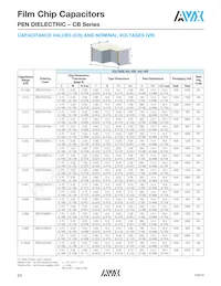 CB187G0105KBC Datasheet Page 5
