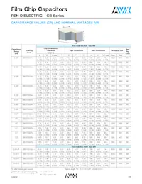 CB187G0105KBC Datasheet Page 6