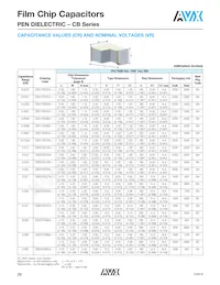 CB187G0105KBC Datasheet Page 7