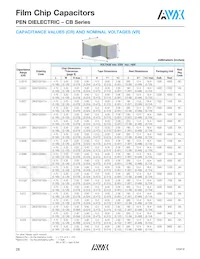 CB187G0105KBC Datasheet Page 9