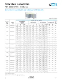 CB187G0105KBC Datasheet Page 11