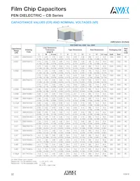 CB187G0105KBC Datasheet Page 13