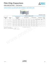 CB187G0105KBC Datasheet Page 14