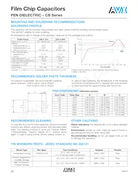 CB187G0105KBC Datasheet Page 15