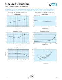 CB187G0105KBC Datasheet Page 16
