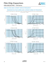 CB187G0105KBC Datasheet Page 17