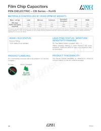 CB187G0105KBC Datasheet Page 19