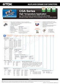 CGA6P2NP01H104J250AA Datenblatt Seite 3