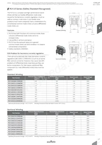 PLY17BS9612R0B2B Datasheet Page 19