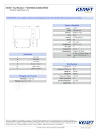 PMR209MC6100M100R30 Datasheet Copertura