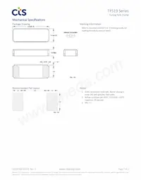 TF5191P32K7680R Datasheet Pagina 3