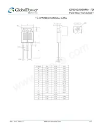 GPI040A060MN-FD Datenblatt Seite 8