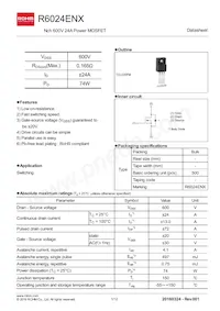 R6024ENX Datenblatt Cover