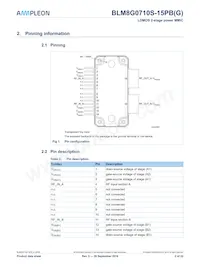 BLM8G0710S-15PBGY Datasheet Pagina 2