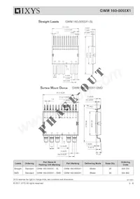 GWM160-0055X1-SMDSAM Datasheet Pagina 3