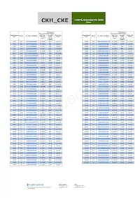 474CKH250M Datenblatt Seite 3