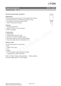 B41851A6338M000 Datasheet Pagina 3