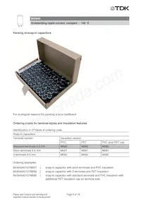 B43545A9827M062 Datasheet Pagina 6