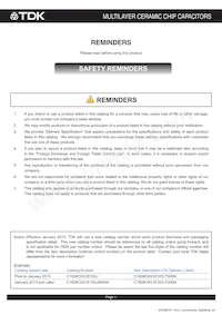 C3225NP01H333J160AA Datasheet Page 2