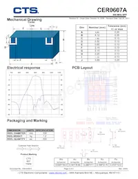 CER0607A Datasheet Page 2