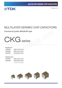 CKG57NX5R2A106M500JH Datenblatt Cover