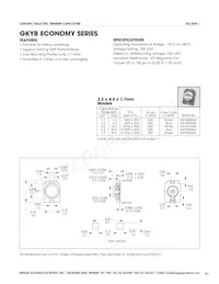 GKG6R088-05 Datasheet Pagina 3