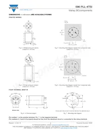 MAL209639152E3 Datasheet Pagina 2