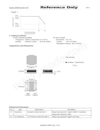 NFZ5BBW7R6LN10L Datasheet Pagina 2