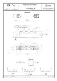 TT60N16SOFHPSA1數據表 頁面 4