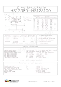 HS123100R Datasheet Copertura