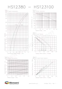 HS123100R Datasheet Pagina 2