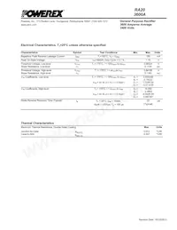 RA202036XX Datasheet Page 3