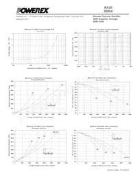 RA202036XX Datasheet Page 4