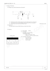 RG 2A Datasheet Pagina 4