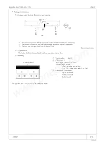 RM 1C Datasheet Pagina 3